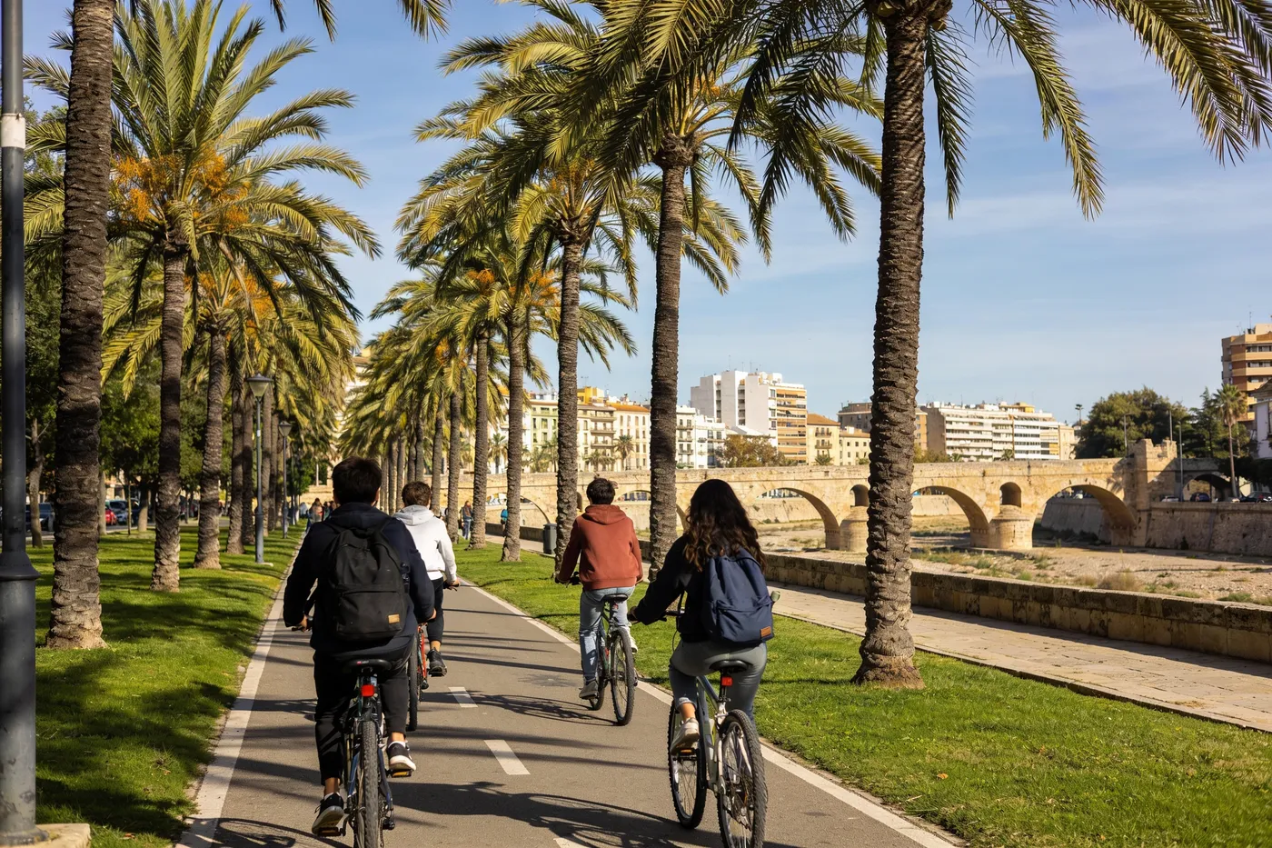 Des étudiants à vélo sur une piste cyclable bordée de palmiers dans un grand parc urbain